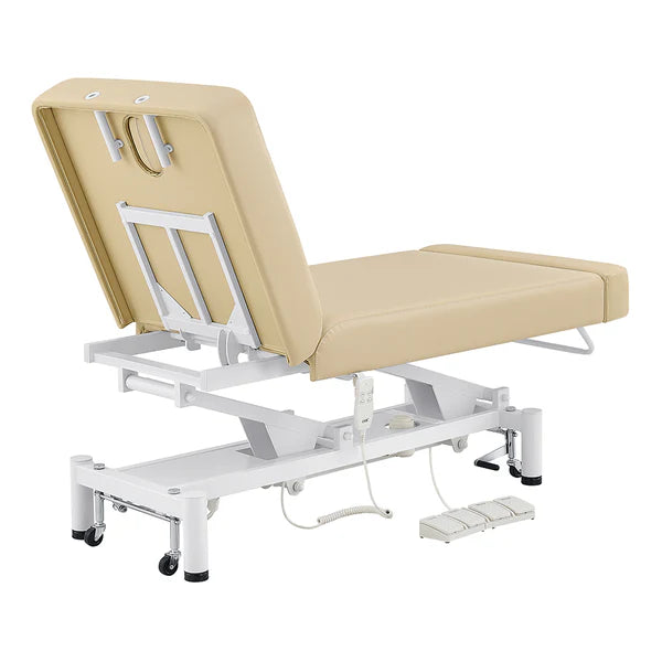 WellRelax 2-Motors Therapy Treatment Table with Tilting Cradle Pillow