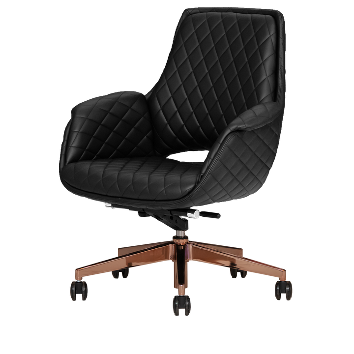 Jewel Gold Edition Salon Customer Chair