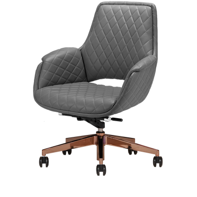 Jewel Gold Edition Salon Customer Chair